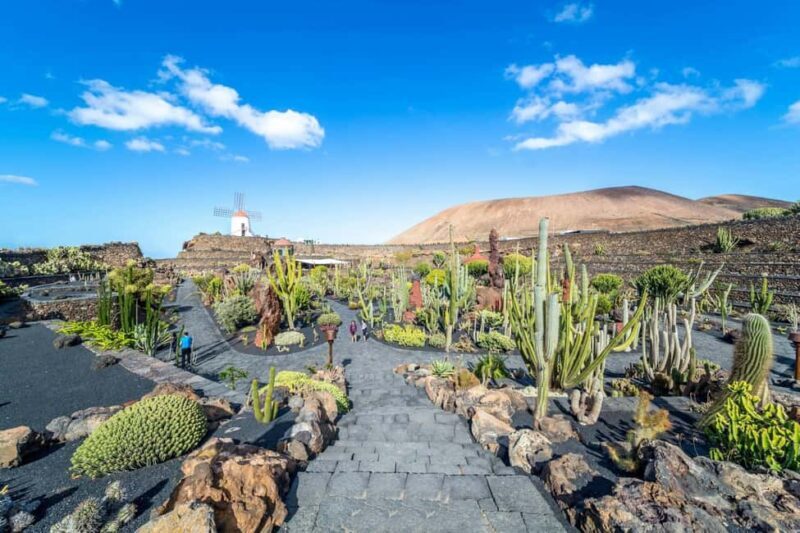 Cesar Manriques Lanzarote tour with Cactus Garden & LagOmar - Final Thoughts