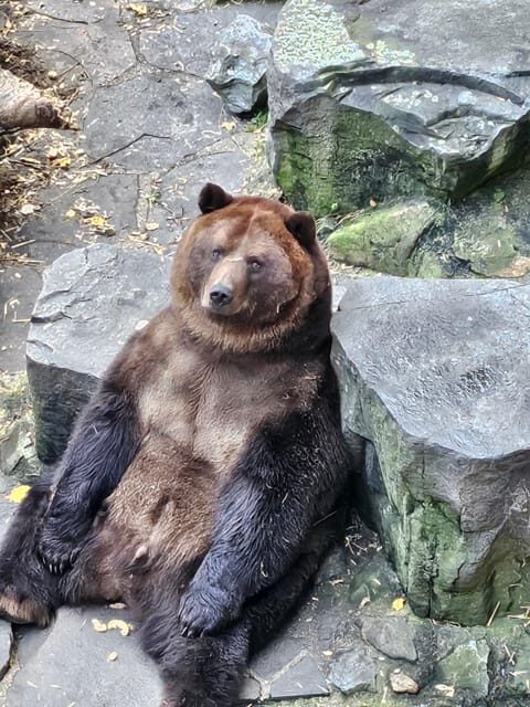 Cesky Krumlov private guided day trip - Whats Included and Whats Not