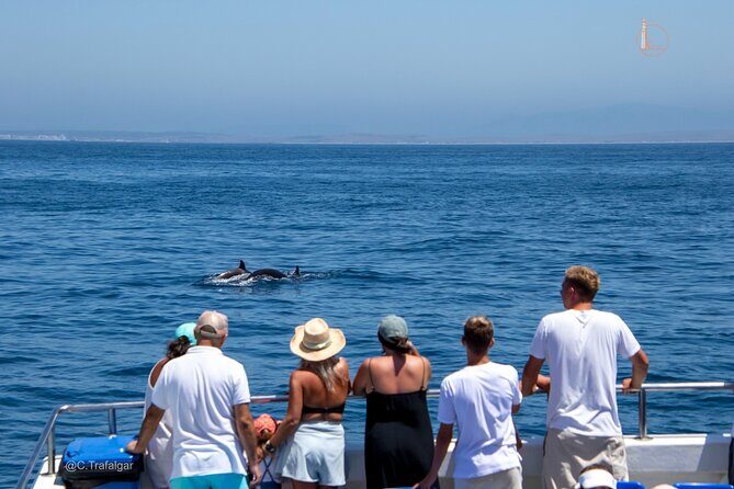 Cetacean Watching Tour - Key Points