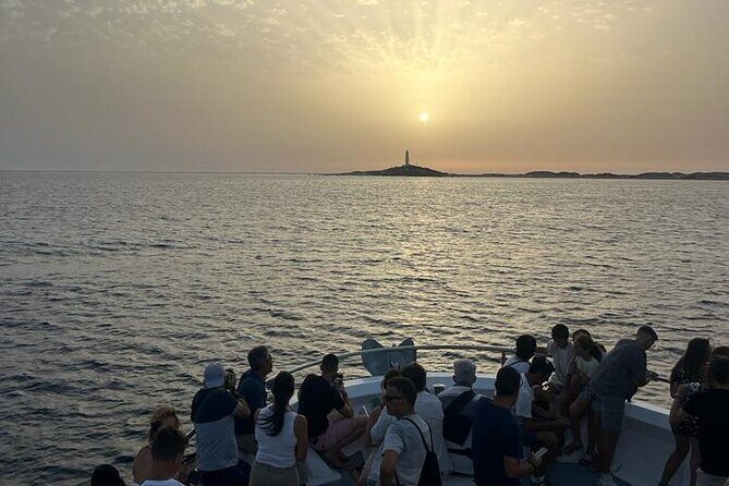 Cetacean Watching Tour - What to Expect from the Cetacean Watching Tour