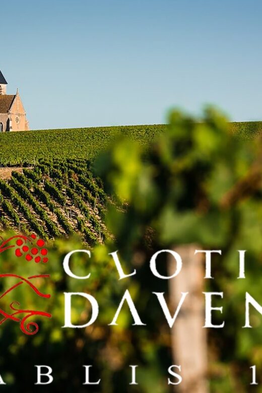 Chablis Clotilde Davenne visit and tasting in english - Final Thoughts