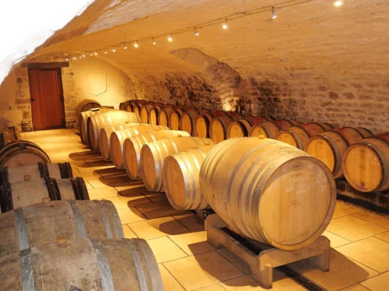 Chablis: Tour and tasting Family-run winery - An Honest Look at the Experience