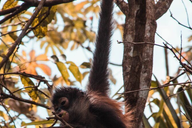 Chacchoben Mayan Ruins and Bacalar Lagoon from Costa Maya - Final Thoughts