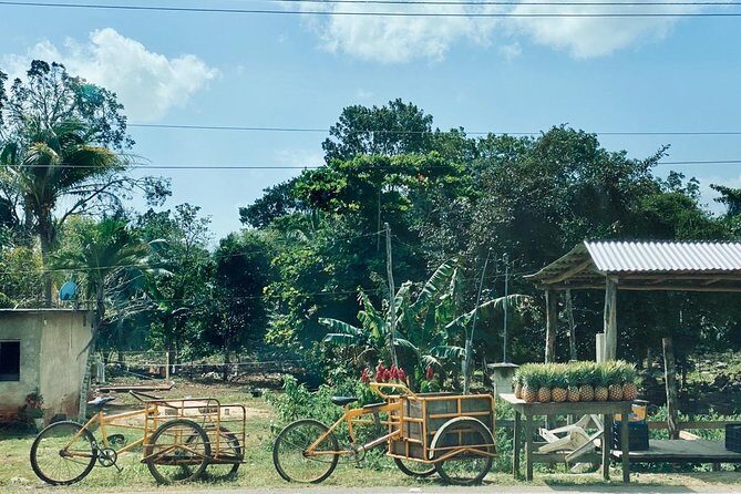 Chacchoben Mayan Ruins and Mayan Experience Tour from Costa Maya - Who Should Consider This Tour?