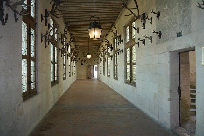 Chambord Castle: Private Guided Walking Tour - A Closer Look at the Tour Itinerary
