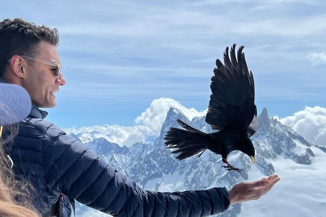 Chamonix Mont-Blanc Full Day Guided Tour - Timing that shapes your day (and your photos)