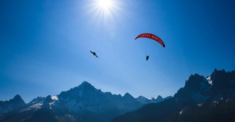 Chamonix: Tandem Paragliding Flight with Mont-Blanc Views - Real Travelers’ Experiences