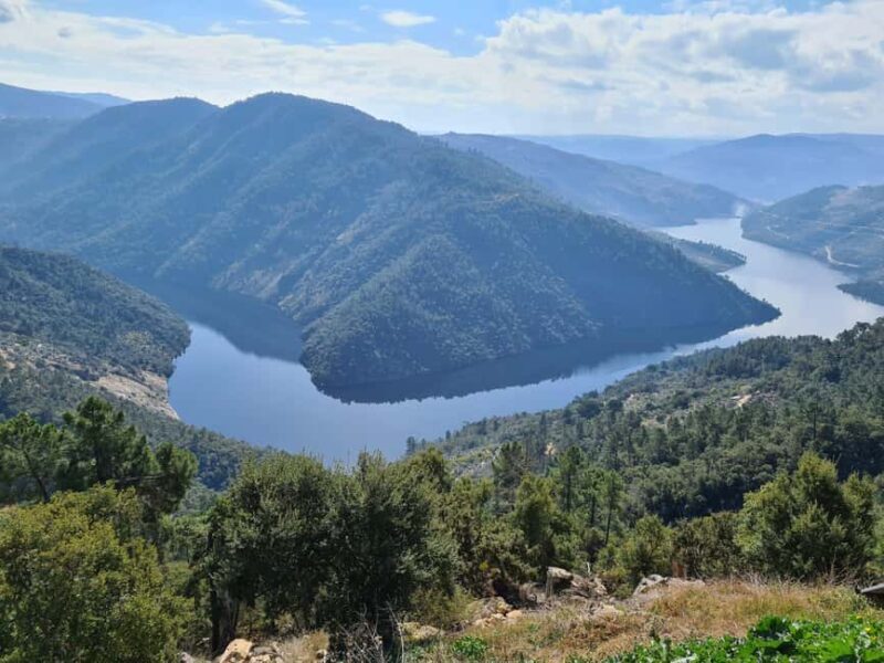 Champagne: A Sparkling Journey starting in Porto - Key Points