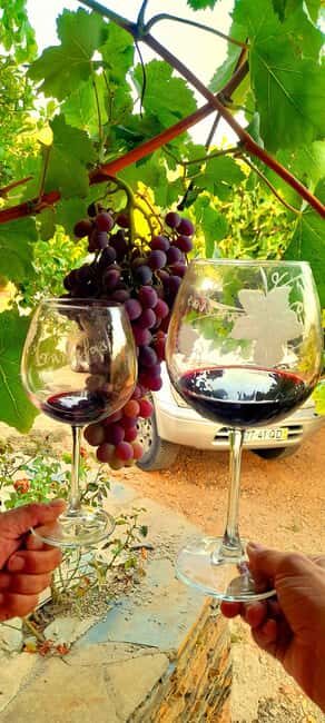 Champagne: A Sparkling Journey starting in Porto - Final Thoughts