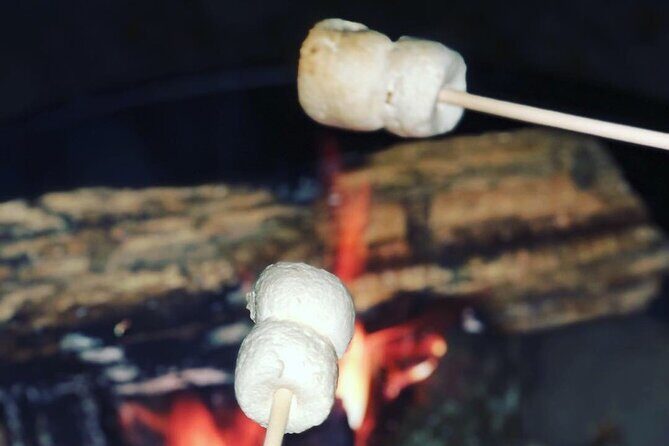 Champagne and Charcuterie Sunset Trail Ride - Final Thoughts