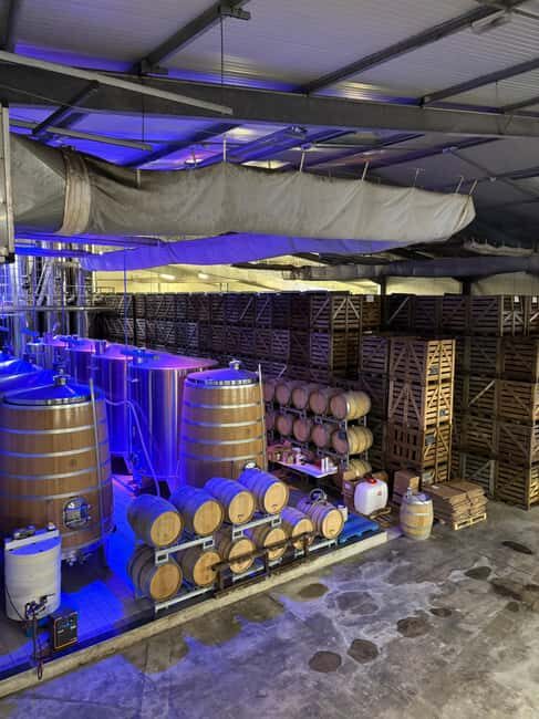 Champagne Day Tour Tours, tastings, and lunch included - The Verdict: Who Will Love This Tour?