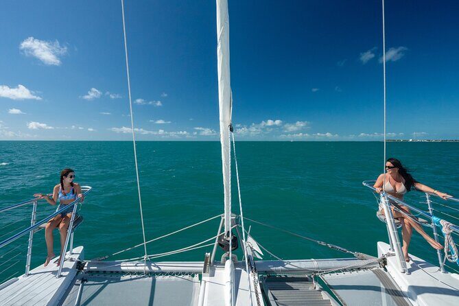 Champagne Dolphin Sail and Reef Snorkel - Is It Worth the Price?