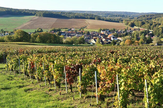 Champagne Guy De Chassey: Traditional Tour & Tasting - Key Points