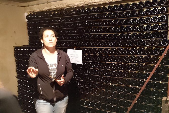 Champagne Lamiable: Traditional Tour & Tasting - The Details of the Champagne Lamiable Tour