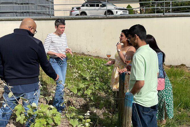 Champagne Munoz Bruneau : Half Day Visit and Tasting - FAQ