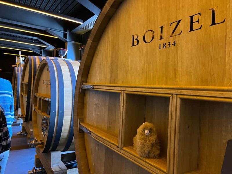 Champagne Private Day Trip: Epernay & Reims 9 glasses - The Value: Is It Worth the Cost?