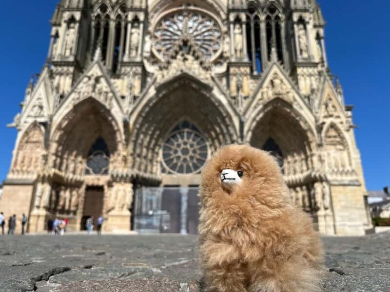 Champagne Private Day Trip: Epernay & Reims 9 glasses - Who Will Love This Tour?