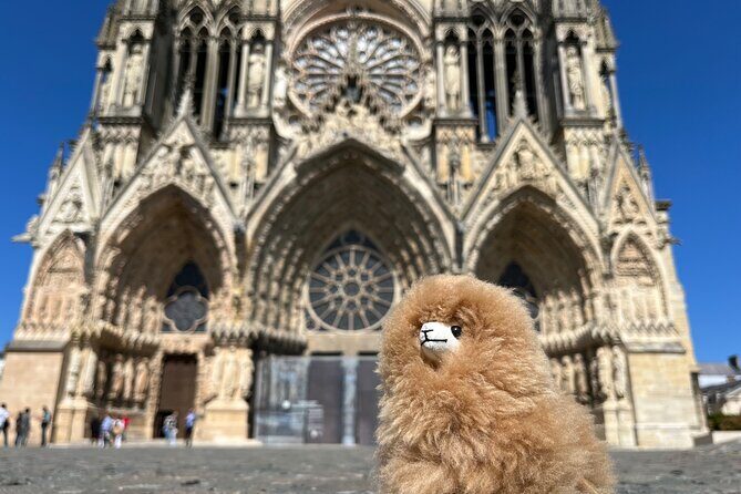 Champagne Private Guided Full-Day Trip Moët & Veuve Clicquot - The Itinerary in Detail: What You’ll Experience