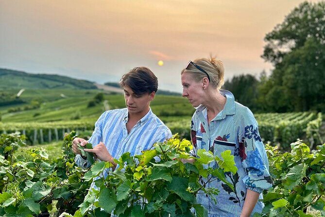 Champagne Private VIP Wine Day Trip with Michelin Lunch - An Overview of the Experience