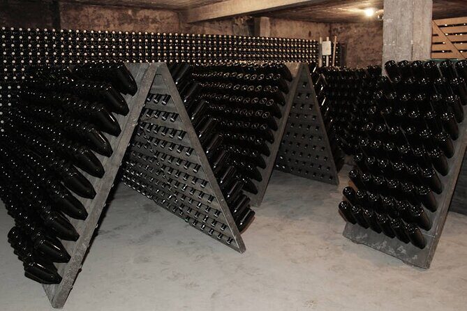 Champagne - Reims: Private tour from Paris by minivan - What It Feels Like to Be on the Tour