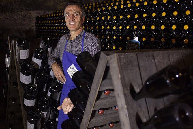 Champagne - Reims: Private tour from Paris by minivan - The Downside?