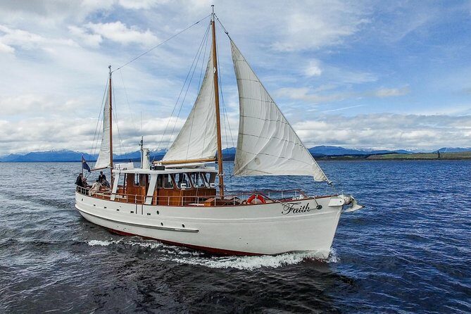Champagne Sightseeing Cruise on Lake Te Anau - Is It Worth the Price?