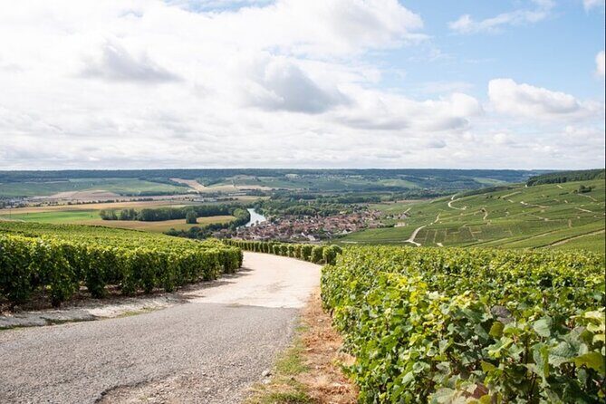 Champagne Small-Group Tour with Tastings and Lunch from Epernay - Real Guest Insights
