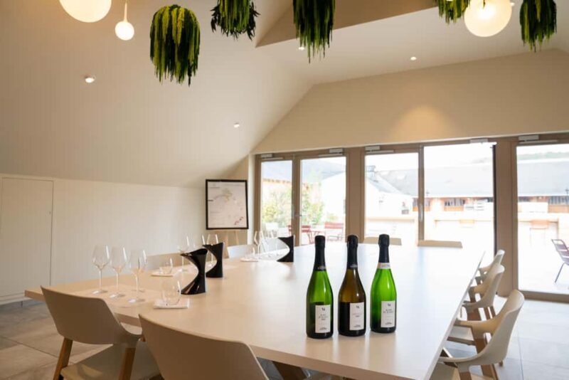 Champagne Vincent d'Astrée: Grape Variety Workshop - Discovering the Champagne Vincent dAstrée Grape Variety Workshop