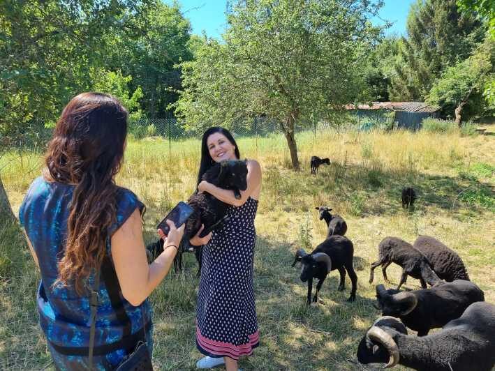 Champagne Vineyard Experience: Explore the terroir - The Tour Itinerary and Its Highlights