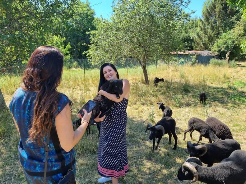 Champagne Vineyard Experience: Explore the terroir - Who Is This Tour Best For?