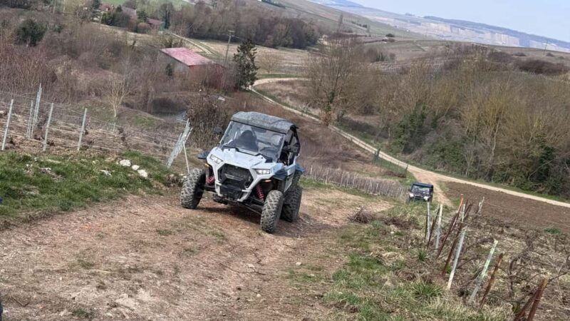 Champagne vineyards: 2-hour guided tour of the vineyards in a Buggy - The Practicalities: What You Need to Know