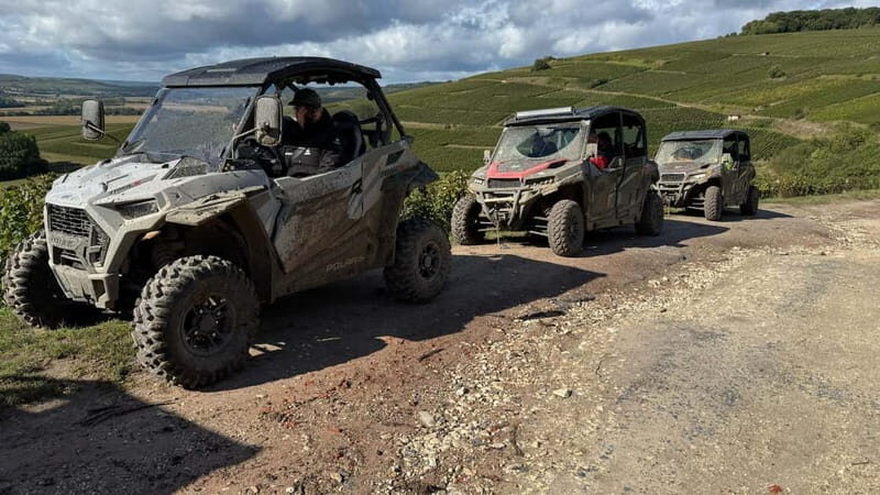 Champagne vineyards: 2-hour guided tour of the vineyards in a Buggy - Who Is This Tour Best For?