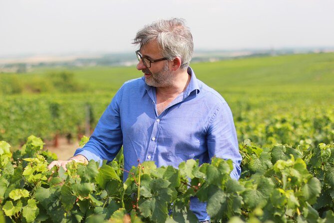 Champagne VIP Day Trip from Paris With Local PRIVATE Wine Expert Guide - The Sum Up
