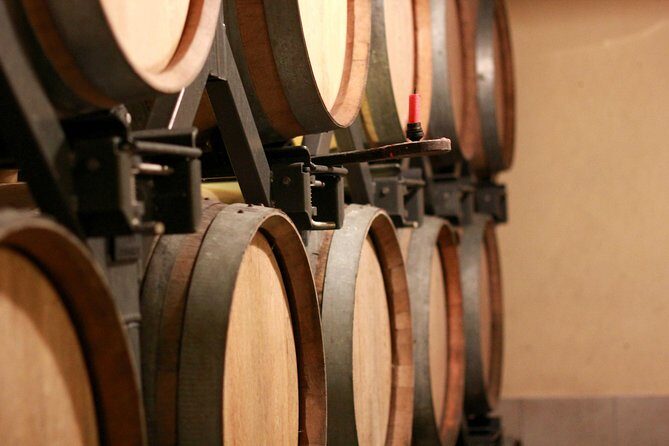 Champagne VIP Day Trip from Paris With Local PRIVATE Wine Expert Guide - FAQ