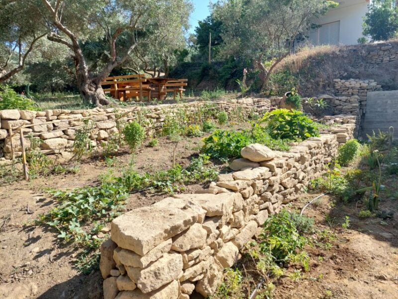 Chania: 5-Wine Tasting with Locals in Village near Kissamos - The Experience Provider: PoTolo