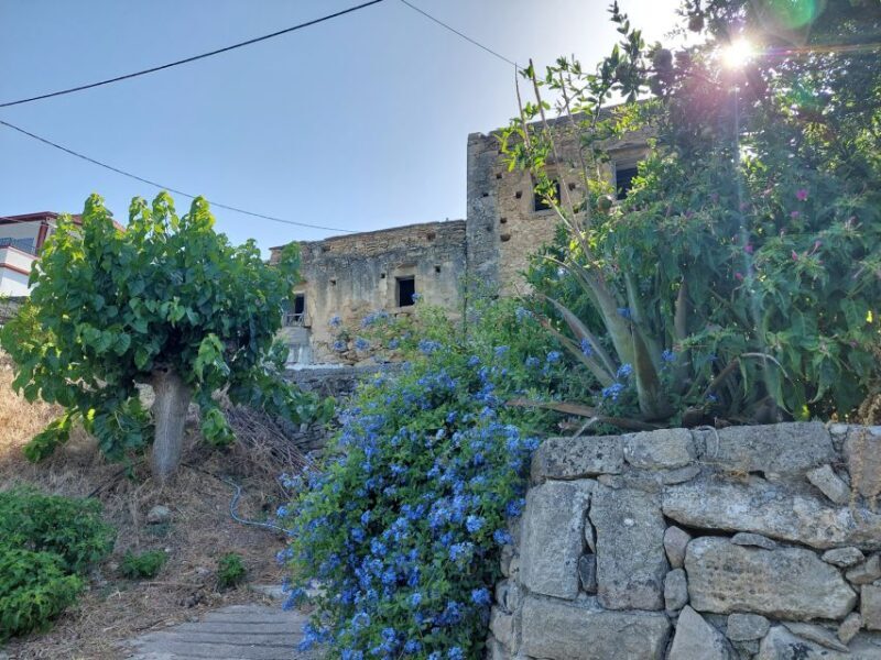 Chania: 5-Wine Tasting with Locals in Village near Kissamos - Final Thoughts: Is It Worth It?