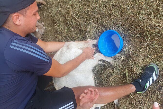 Chania Area: Cooking Class at a Farm in Stylos Village (organic) - Discovering the Charm of Stylos Village