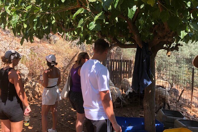 Chania Area: Cooking Class at a Farm in Stylos Village (organic) - Pros and Cons in a Nutshell