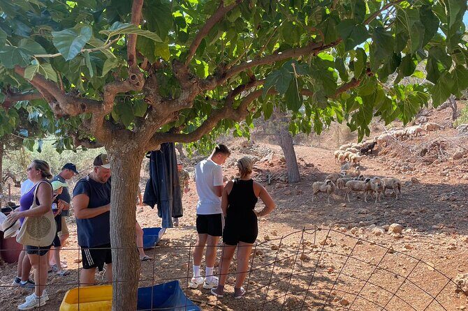 Chania Area: Cooking Class at a Farm in Stylos Village (organic) - Who Should Consider This Tour?
