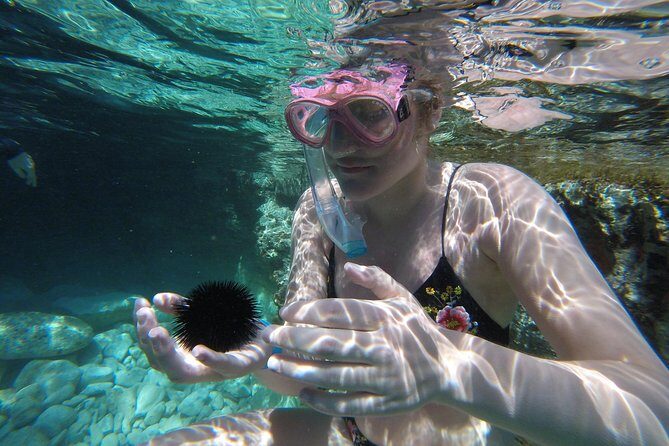 Chania: Boat Trip with Guided Snorkeling Tour & SUP - Who Should Book This Tour?