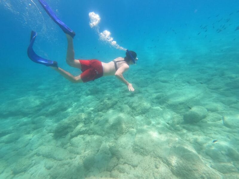 Chania: Boat Trip with Guided Snorkeling Tour - Key Points