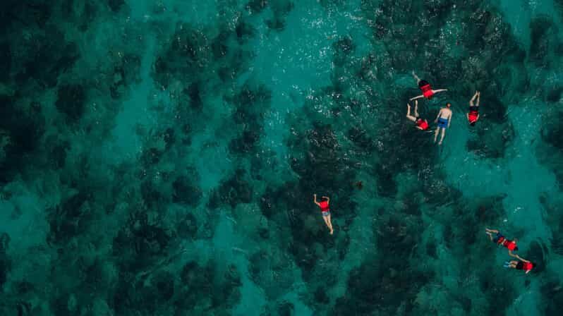 Chania: Boat Trip with Guided Snorkeling Tour - Snorkeling Spots and Marine Life