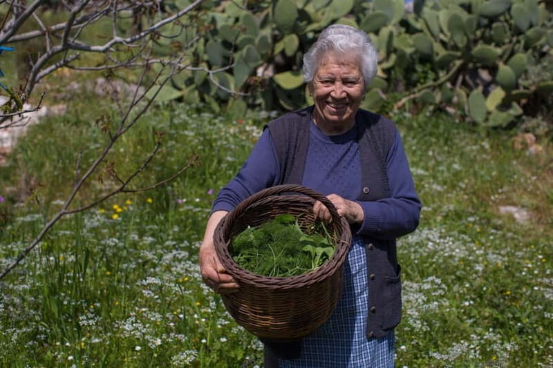 Chania: Cretan Wine, Olive Oil & Cooking Workshop - Key Points