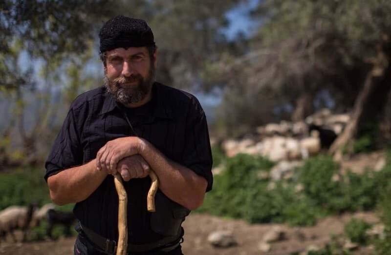 Chania: Cretan Wine, Olive Oil & Cooking Workshop - Final Thoughts