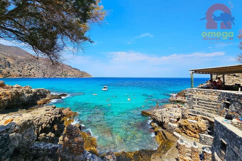 Chania: Diving Trips for Certified Divers - Pricing and Value