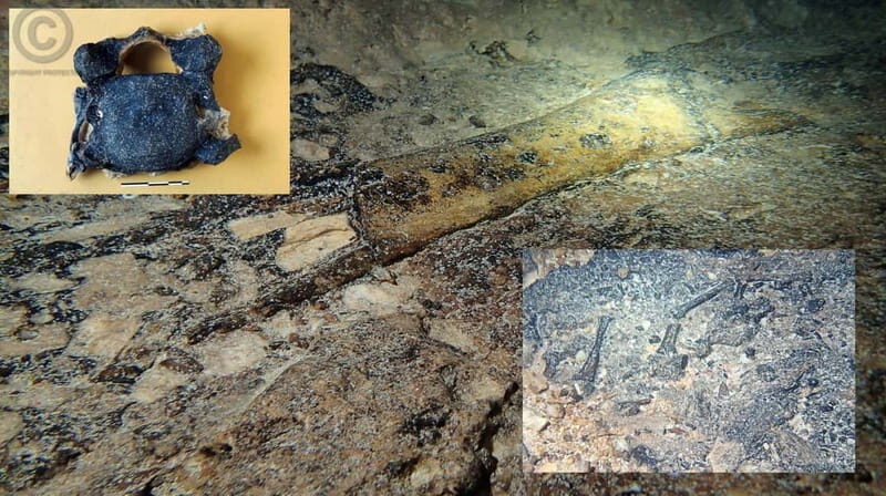 Chania: Diving Trips for Certified Divers - Final Thoughts