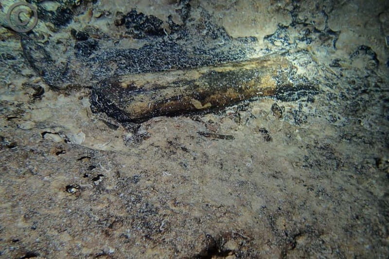 Chania: Diving Trips for Certified Divers - Additional Tips