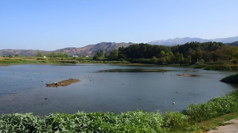 Chania Ebike Eco-Long Tour + Traditional Snack - Final Thoughts