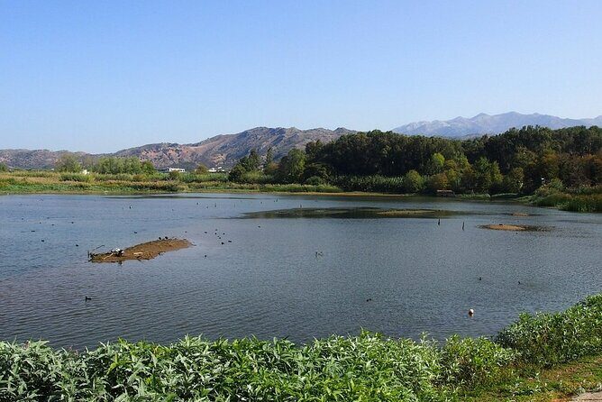 Chania Ebike Eco-Long Tour with Traditional Snack - The Highlights and What They Mean for You