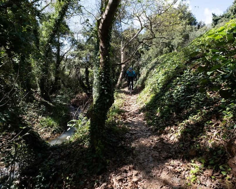 Chania: Electric Mountain Bike Tour - The Experience and What You’ll Love